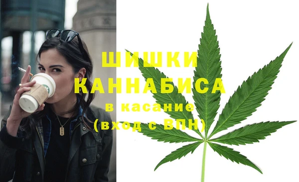 PSILOCYBIN Вяземский