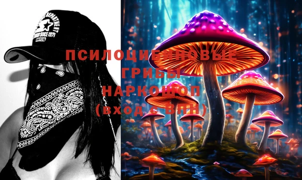 PSILOCYBIN Вяземский