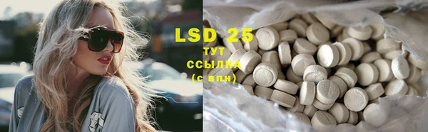 PSILOCYBIN Вяземский