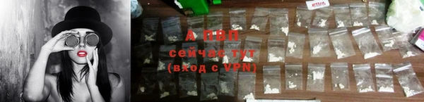 PSILOCYBIN Вяземский