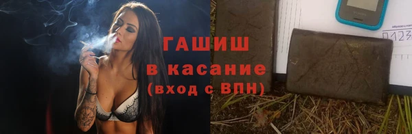 PSILOCYBIN Вяземский