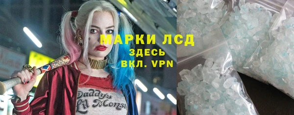 PSILOCYBIN Вяземский