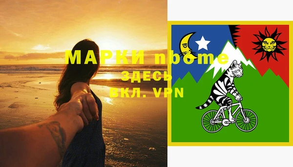 PSILOCYBIN Вяземский