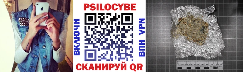 МЕГА вход  Сочи  Псилоцибиновые грибы мицелий  купить наркотики цена 